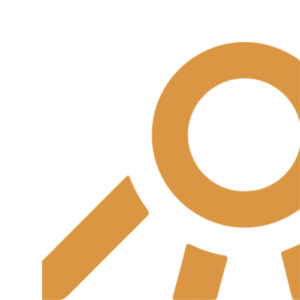 professional logo design